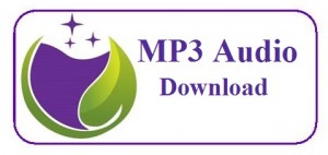 BMp3Download